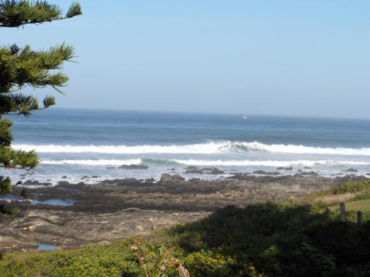 Sea Otters Lodge & Conference Centre - 233503