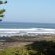 Sea Otters Lodge & Conference Centre - 233503