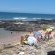 Sea Otters Lodge & Conference Centre - 233504