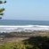 Sea Otters Lodge & Conference Centre - 233536