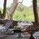 Mashatu Lodge - Mashatu Game Reserve - 233653