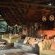Mashatu Lodge - Mashatu Game Reserve - 233654