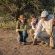 Mashatu Lodge - Mashatu Game Reserve - 233661