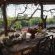 Mashatu Lodge - Mashatu Game Reserve - 233662