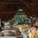 Mashatu Lodge - Mashatu Game Reserve - 233663