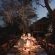 Mashatu Lodge - Mashatu Game Reserve - 233666