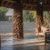 Mashatu Lodge - Mashatu Game Reserve - 233667