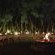 Mashatu Lodge - Mashatu Game Reserve - 233668