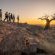 Mashatu Lodge - Mashatu Game Reserve - 233681