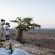 Tuli Safari Lodge Mashatu - Mashatu Game Reserve - 233689