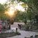Tuli Safari Lodge Mashatu - Mashatu Game Reserve - 233695