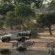 Tuli Safari Lodge Mashatu - Mashatu Game Reserve - 233703