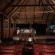 Mashatu Tent Camp - Mashatu Game Reserve - 233783