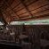 Mashatu Tent Camp - Mashatu Game Reserve - 233784