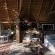 Mashatu Tent Camp - Mashatu Game Reserve - 233786