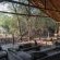 Mashatu Tent Camp - Mashatu Game Reserve - 233788