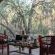 Mashatu Tent Camp - Mashatu Game Reserve - 233789