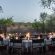 Mashatu Tent Camp - Mashatu Game Reserve - 233790