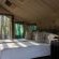 Mashatu Tent Camp - Mashatu Game Reserve - 233796