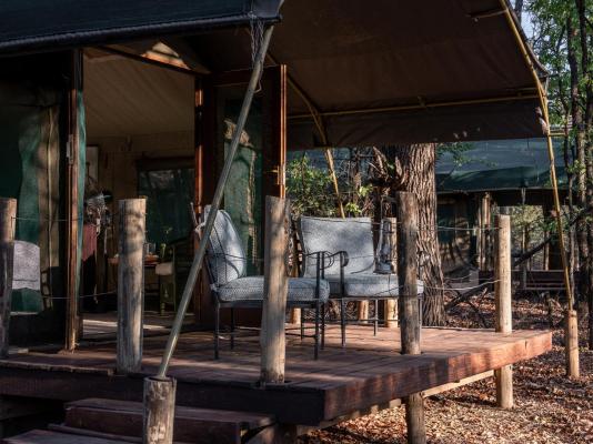 Mashatu Tent Camp - Mashatu Game Reserve - 233799