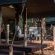 Mashatu Tent Camp - Mashatu Game Reserve - 233799