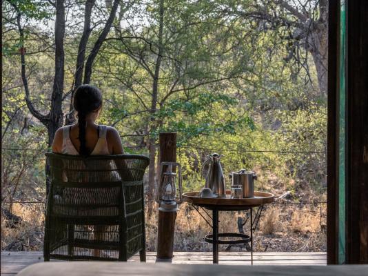 Mashatu Tent Camp - Mashatu Game Reserve - 233800