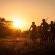 Mashatu Tent Camp - Mashatu Game Reserve - 233809