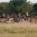 Mashatu Tent Camp - Mashatu Game Reserve - 233810