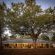 Kolokolo Safari Home - Mashatu Game Reserve - 233817
