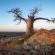 Kolokolo Safari Home - Mashatu Game Reserve - 233826