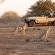Kolokolo Safari Home - Mashatu Game Reserve - 233827