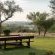 Shalimpo Exclusive Safari Home - 233850