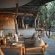 Euphorbia Mashatu - Mashatu Game Reserve - 233942
