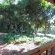 Garden Room 4