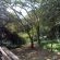 Garden Room 3