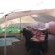 FunkyTown - Jeffreys Bay - 234178