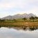 Devonvale Golf & Wine Estate - 234204