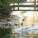 Beaufort Manor Country Lodge - 234376