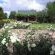 Beaufort Manor Country Lodge - 234377
