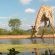 Limpokwena Nature Reserve - 234687