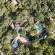 Thornhill Safari Lodge - 234712