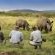 Mhondoro Safari Lodge & Villa - 235071