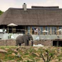 Mhondoro Safari Lodge & Villa - 235072