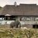 Mhondoro Safari Lodge & Villa - 235072