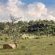 Mhondoro Safari Lodge & Villa - 235073