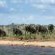 Mhondoro Safari Lodge & Villa - 235079