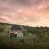 Mhondoro Safari Lodge & Villa - 235085