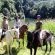 The Shire Eco Lodge