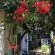 Glory Hill Lodge - 235760