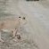 Moditlo River Lodge - 235844